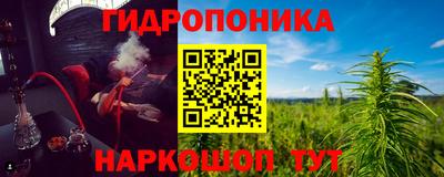 МДПВ Сланцы