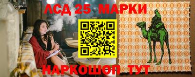 ГАЛЛЮЦИНОГЕННЫЕ ГРИБЫ Славгород